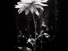 모두가 떠난 후의 이야기 (모떠후)