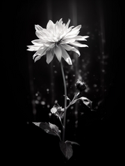 모두가 떠난 후의 이야기