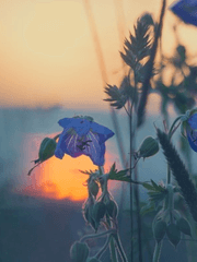 마녀를 위한 동화는 없다