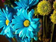 아름다운 추억 속에