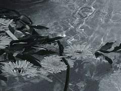 독백도 대화도 될 수 없는 것