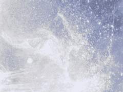 굳어세라 이라!