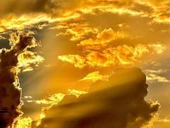 항상, 광명만은 없을거라고 장담해. 그러나 찰나의 희망은 있을거야.