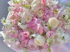 다니카 베누스 고백로그.