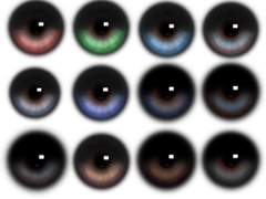 렌즈 이미지 공유