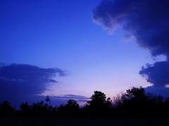 우리 언젠가는 다시 안녕을 말하겠지요