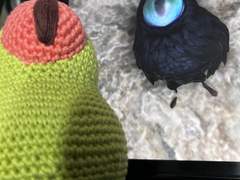 파판14 - 뽈록눈