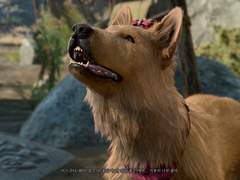 발더게 - 악성향을 또 한다구요?! (12)