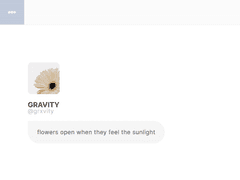 GRAVITY SKIN 26(마감)