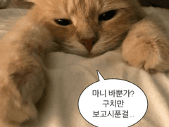 내가 가이드라고요?? EP.0