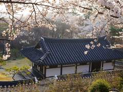 광마는 왜 그 사람을 다시 찾았을까