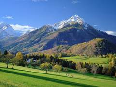 다람쥐와 닮은 당신에게