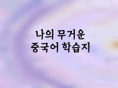 [나의 무거운 중국어 학습지 2]