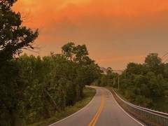 하와이안 피자 붐은 온다 5