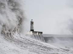 어쩝니까, 무너질 것 같은 주제에 꼿꼿이 서있는 걸.
