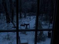 뒤 돌면 녹아버릴 가벼운 존재