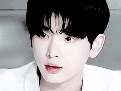 폴라 필터 QR 및 LUT 파일 판매