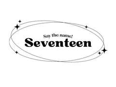 굿노트 다이어리 SVT ver.