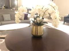 상향혼이 아니면 혼자가 낫다