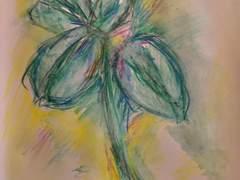 행운 그리고 행복을 떼면