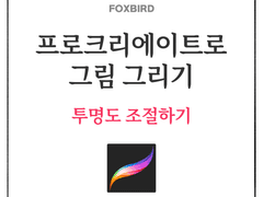 투명도 조절하기