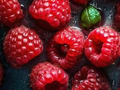 [데못죽] (문대른) 상태이상! 고백이 아니면 패널티를! 김래빈 편 (完)