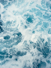 폐로 숨을 쉬는 법