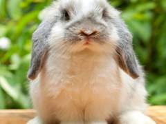 에..?제가 라이즈요..? 1