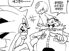 소닉: 세이지랑 소닉