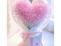 홍사랑/XX/로즈/사랑의 총알! 빵야~ 꽃아, 피어나라!