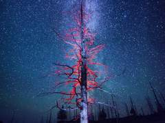 [종뱅] 이름을 불러주오.