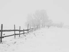 [빵준] Good bye, my baby 上