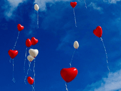 눈을 감은 채로