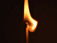 환호하는 달맞이