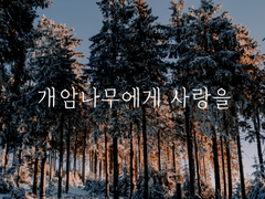 [미히트+머피] 개암나무에게 사랑을