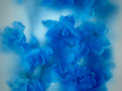 푸른 독초 BLUE VENOM 10