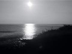 제목을 입력하세요.