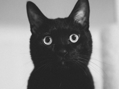 [할신타브] 약속 (約束)