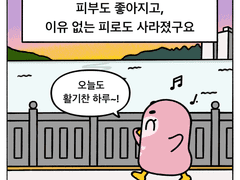 밀가루를 끊어 보니 이렇게나 달라졌어요!