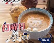 日曜日のノラネコ