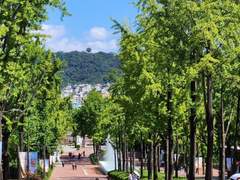 정말 가끔은 내가 떠올리는 생각을 전부 어딘가에 옮겨두고 싶다는 생각이 든다.