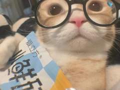 설문조사 다시 열어요~!