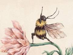 갑타 세계문학전집