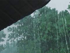 [금룡윤] 會者定離去者必返 ; 떠난 당신과의 새로운 만남을 기약하며