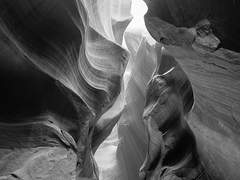 모든 것을 집어삼킬 어둠에서