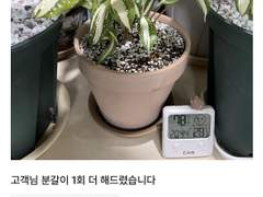 업데이트 : 날씨 로딩 속도 개선 / 식물 노트 수정 기능 추가