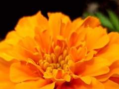 ¿¡ 시간의 충돌과 함께하리 ¡¿