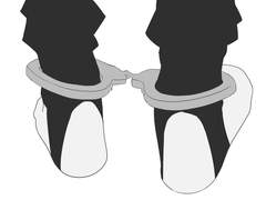 바쿠고 발고리 레깅스는