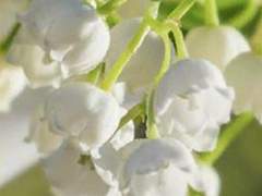 Nothing’s gonna change my love for you