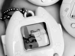 青春爆火, 橘はなび